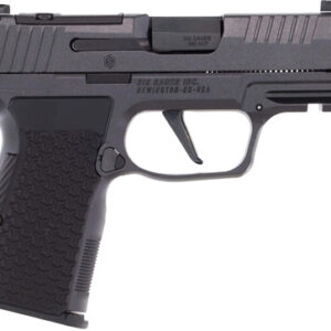 SIG P365 AXG LUXE 380ACP 3.1" - 2-PORT XRAY3 (3)12RD BLACK