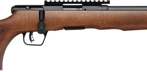 SAVAGE B22 TIMBER THUMBHOLE - 22LR 18" 10RD BLUED/WOOD