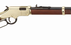 HENRY H4 GOLDENBOY 22S/L/LR - 20" OCTAGON WALNUT