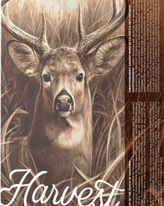 BARNES HARVEST 6.5 CM  140GR - TIPPED GAMEKING 20RD 10BX/CS
