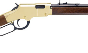 HENRY H4 GOLDENBOY YOUTH - 22S/L/LR 17" OCTAGON WALNUT
