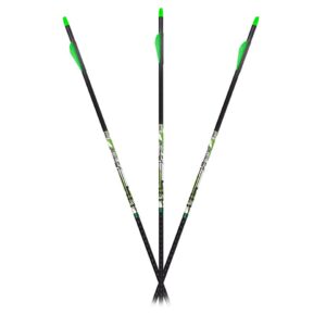Carbon Express D-Stroyer Piledriver Arrows 400 Spines 6 Pack Fletched