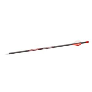 Bloodsport Judgement Arrow 300 Spine 6/pk