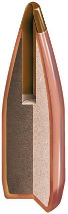 Hornady NTX Bullets .20 cal .204" 24 gr NTX 100/ct