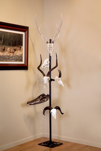 SKULL HOOKER TROPHY TREE W/ 5 - BRACKETS CUSTOMIZABLE DISPLAY - Image 4