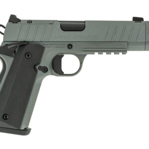 TISAS NIGHT STALKER COMP 10MM GRY  #