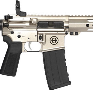 HIPOINT PISTOL HP-15 300 AAC - 10.5" 30RD BLADE BRACE SILVER