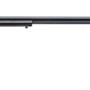 HERITAGE MANUFACTURING RR 22LR BLUE 16" 6RD AS